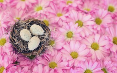 Truc & Astuce pour trouver la date de Pâques