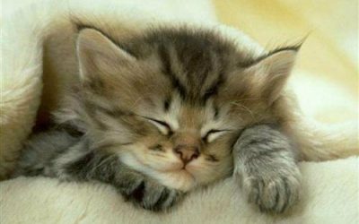 Libérez-vous de VOTRE Stress !